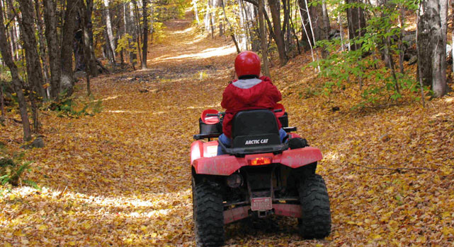 Brakes are important for when obstacles like trees jump out in front of you.